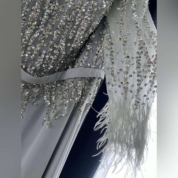 Terani Couture Dress- Size 16 Color- Silver - Picture 2 of 4